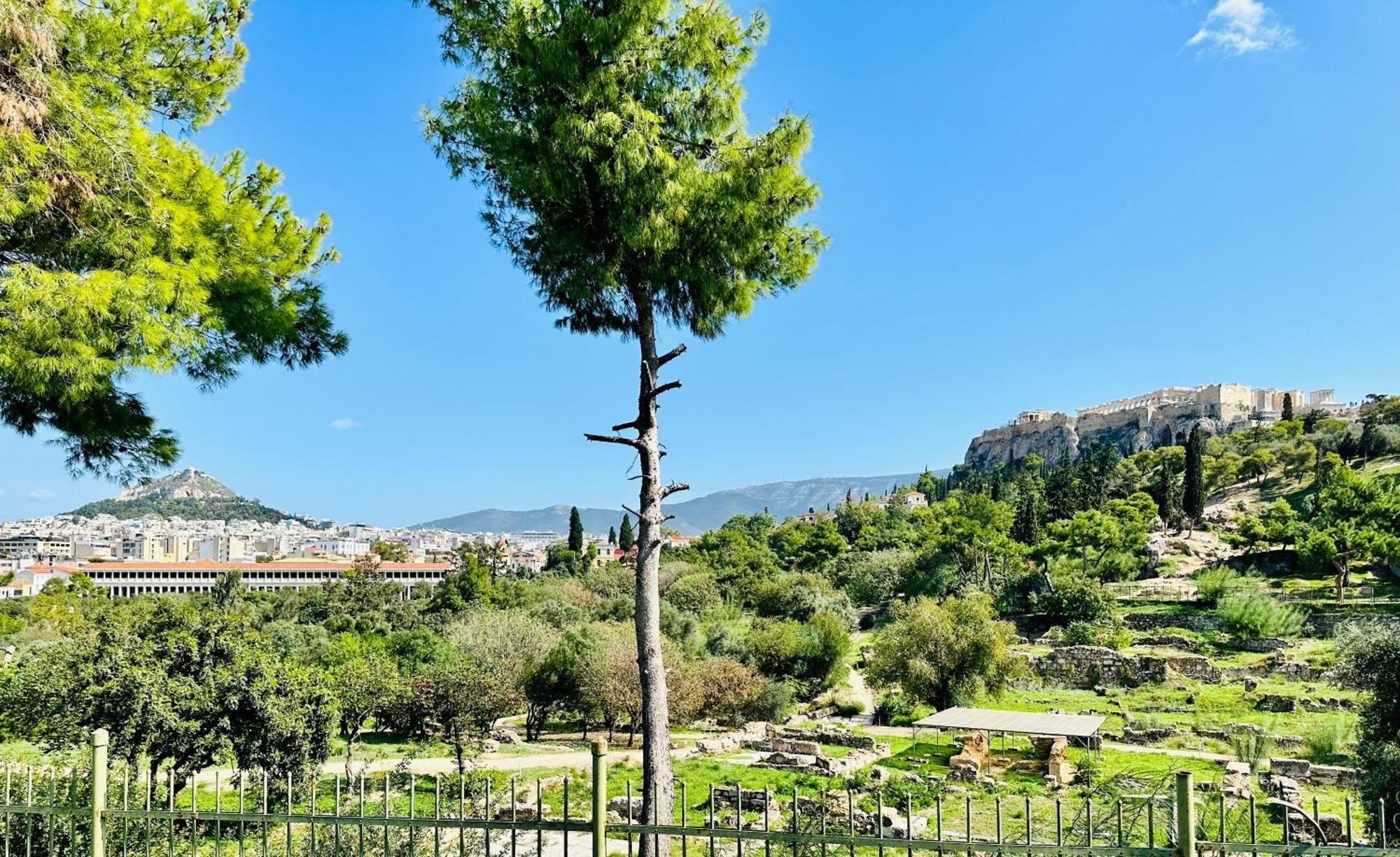 Yuna Penthouse, 100Sqm Private Rooftop Terrasse, Acropolis By Foot Aten Exteriör bild